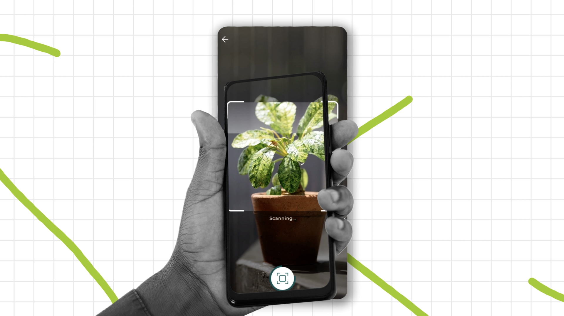 Buddy SaaS Tech Animation